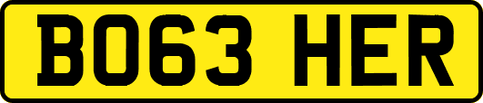 BO63HER