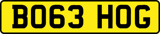 BO63HOG