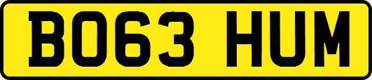 BO63HUM