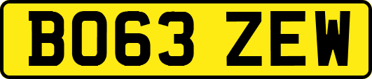 BO63ZEW