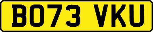 BO73VKU