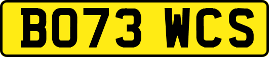 BO73WCS