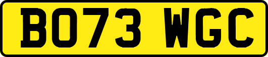 BO73WGC