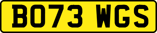BO73WGS