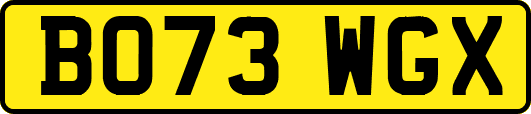 BO73WGX