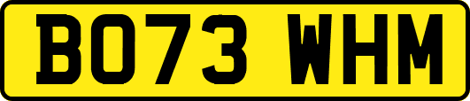 BO73WHM