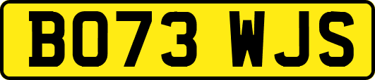 BO73WJS
