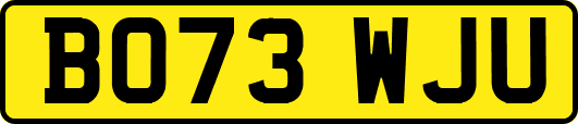 BO73WJU