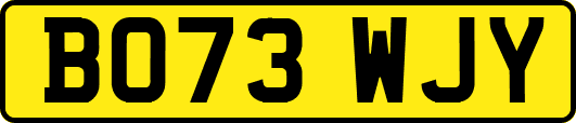 BO73WJY