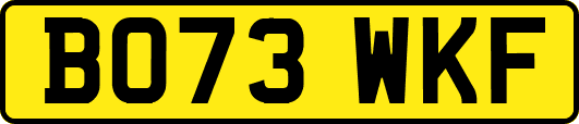 BO73WKF