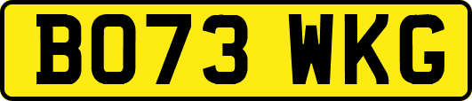 BO73WKG