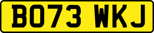 BO73WKJ