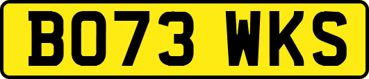 BO73WKS