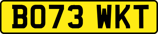 BO73WKT