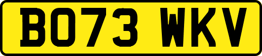 BO73WKV