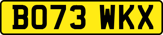 BO73WKX