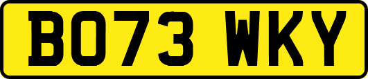 BO73WKY