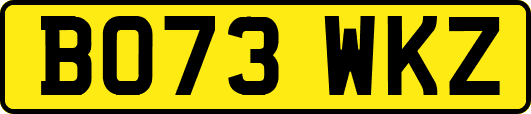 BO73WKZ