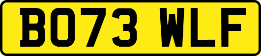 BO73WLF