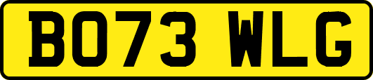 BO73WLG
