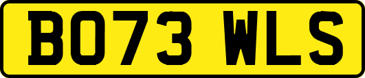 BO73WLS