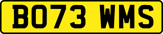 BO73WMS