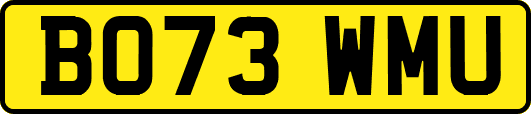BO73WMU