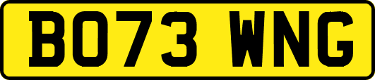 BO73WNG