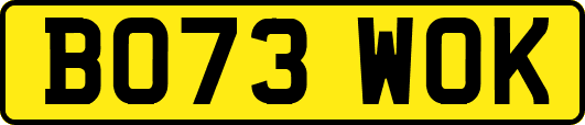 BO73WOK