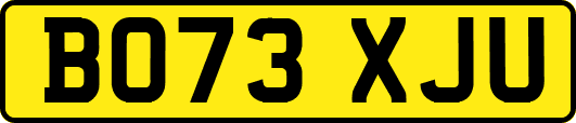 BO73XJU