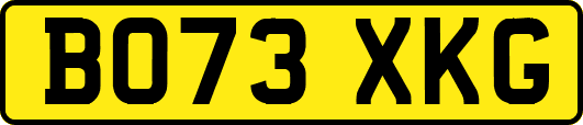 BO73XKG