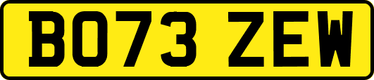 BO73ZEW