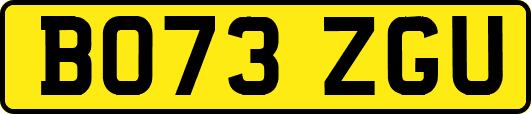 BO73ZGU