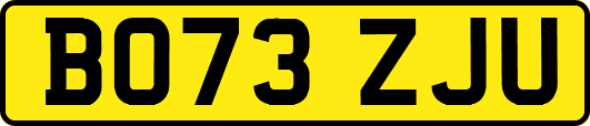 BO73ZJU