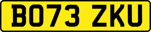 BO73ZKU