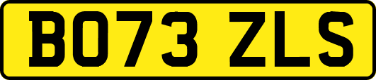 BO73ZLS