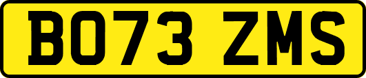 BO73ZMS