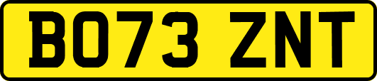 BO73ZNT