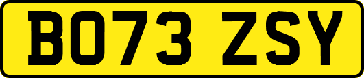 BO73ZSY