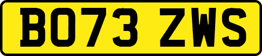 BO73ZWS