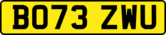BO73ZWU