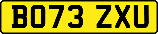 BO73ZXU