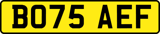 BO75AEF