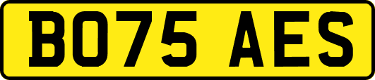 BO75AES