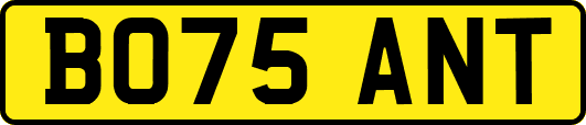 BO75ANT