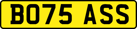 BO75ASS