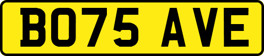 BO75AVE