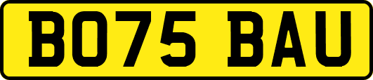 BO75BAU