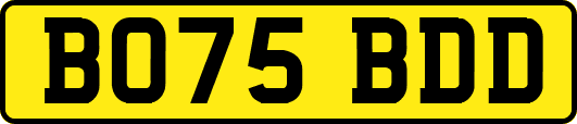 BO75BDD
