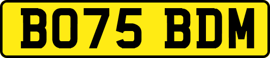 BO75BDM